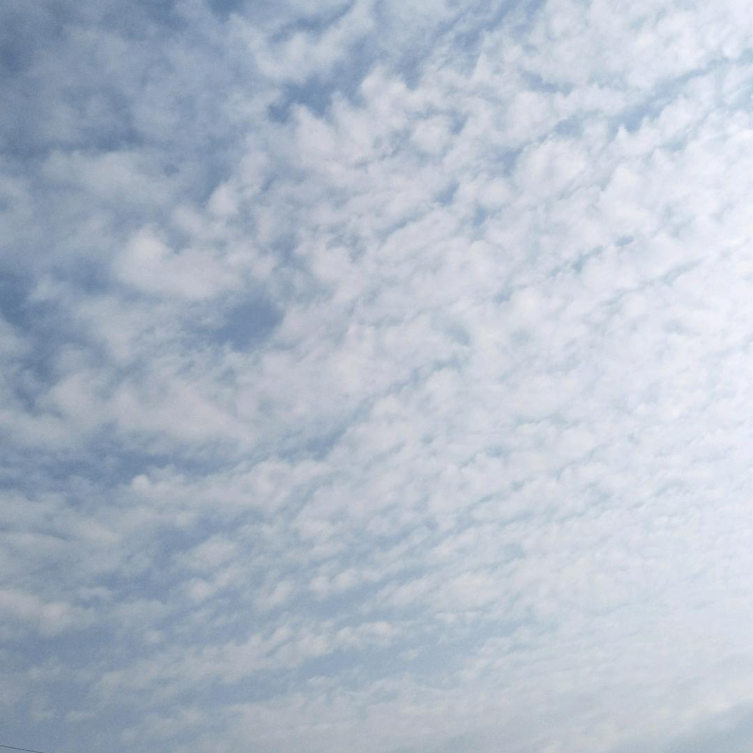 —🍉🍉北边的橘子