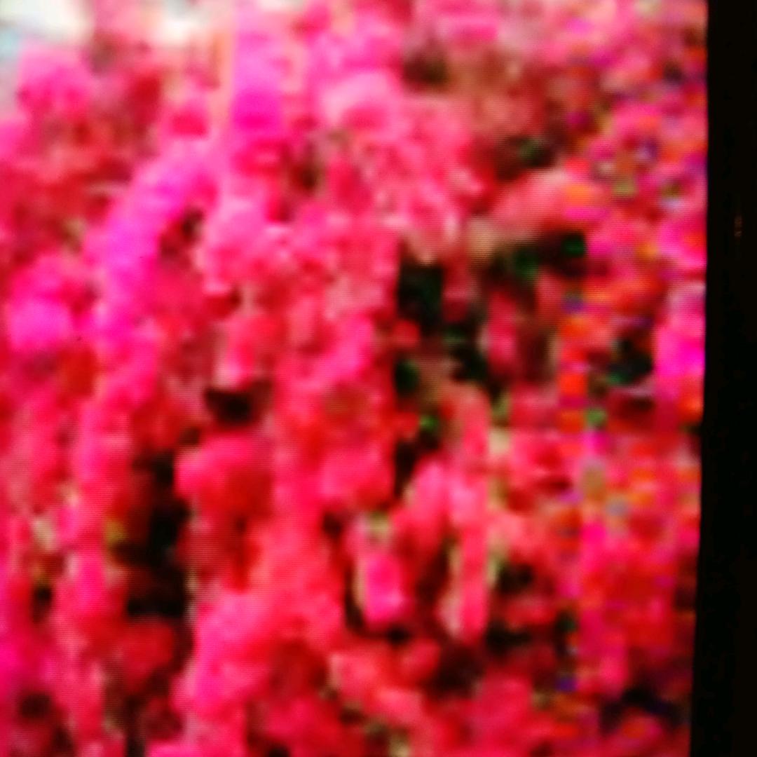 知足常乐的老王