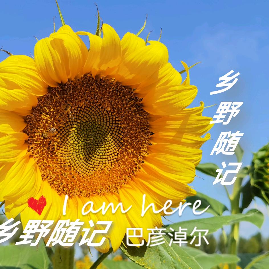乡野随记