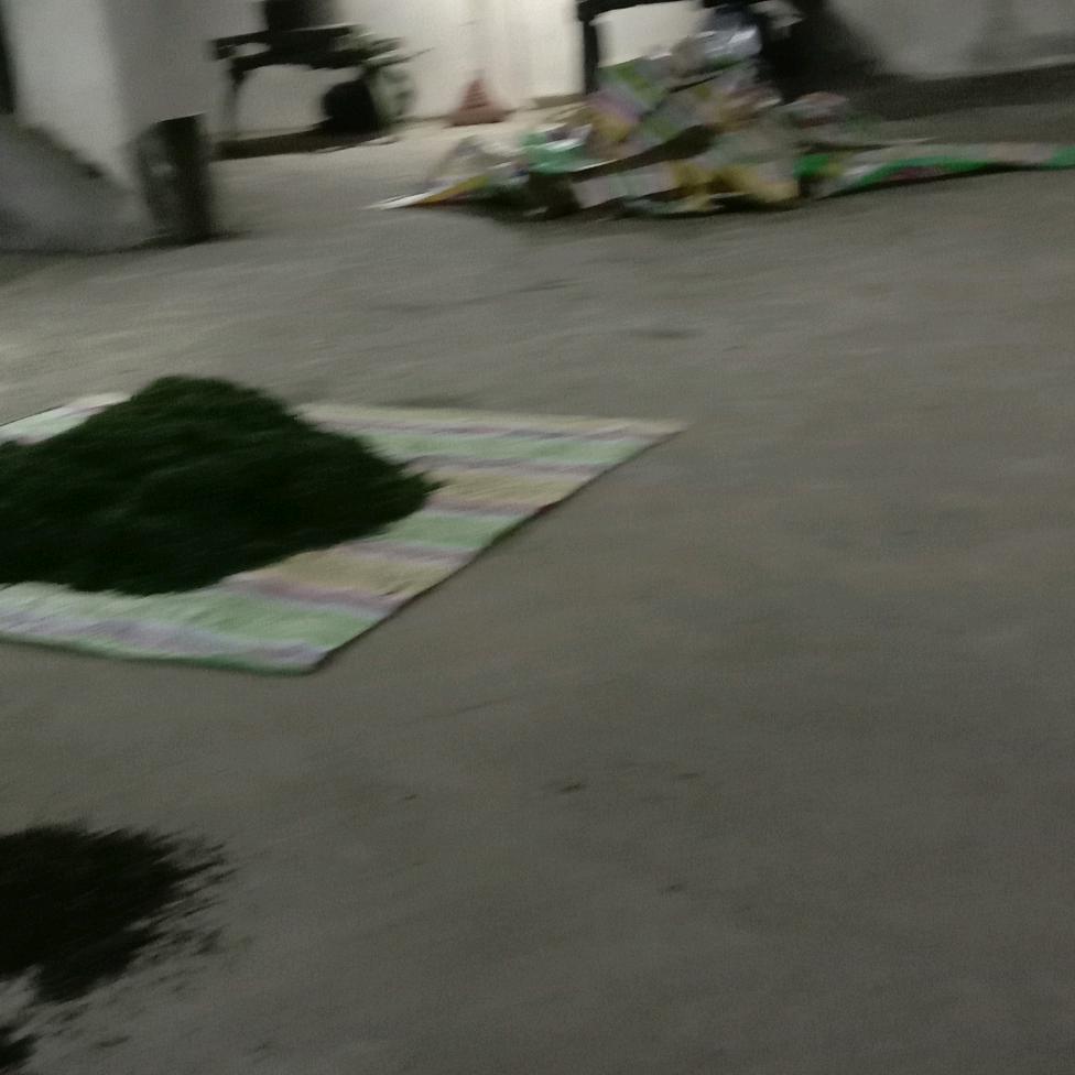 老周