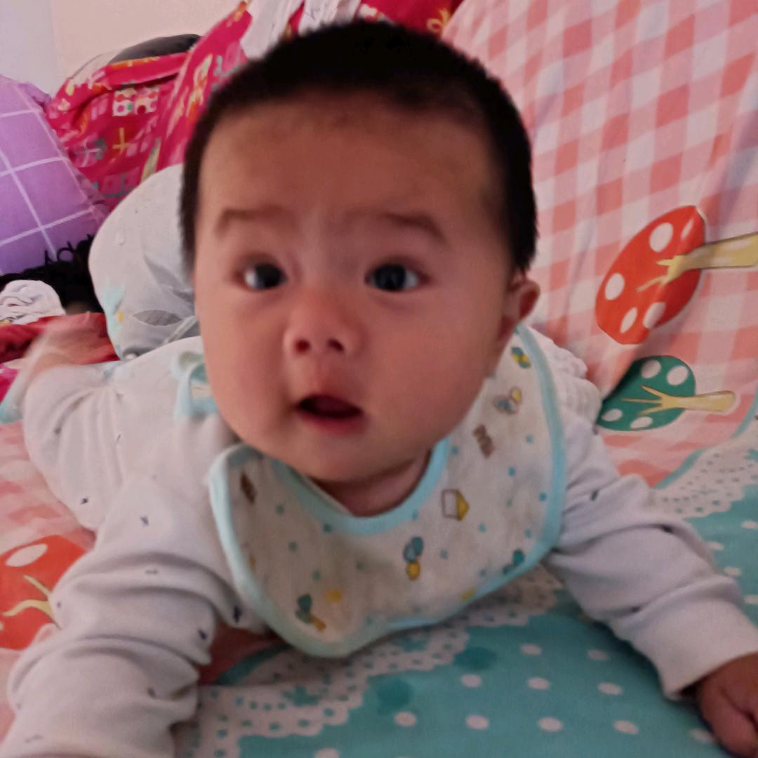 @杨