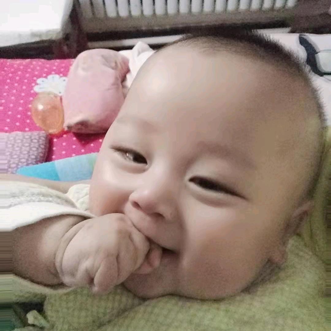 🌈得鹿梦鱼