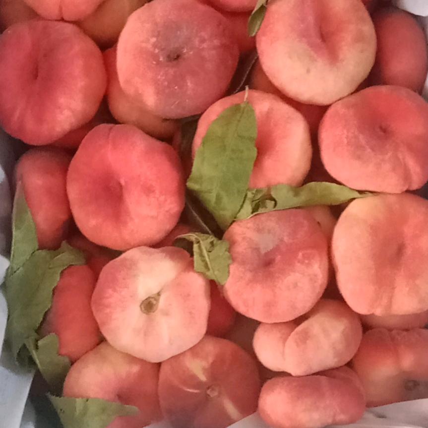 王凯蔬菜水果批零