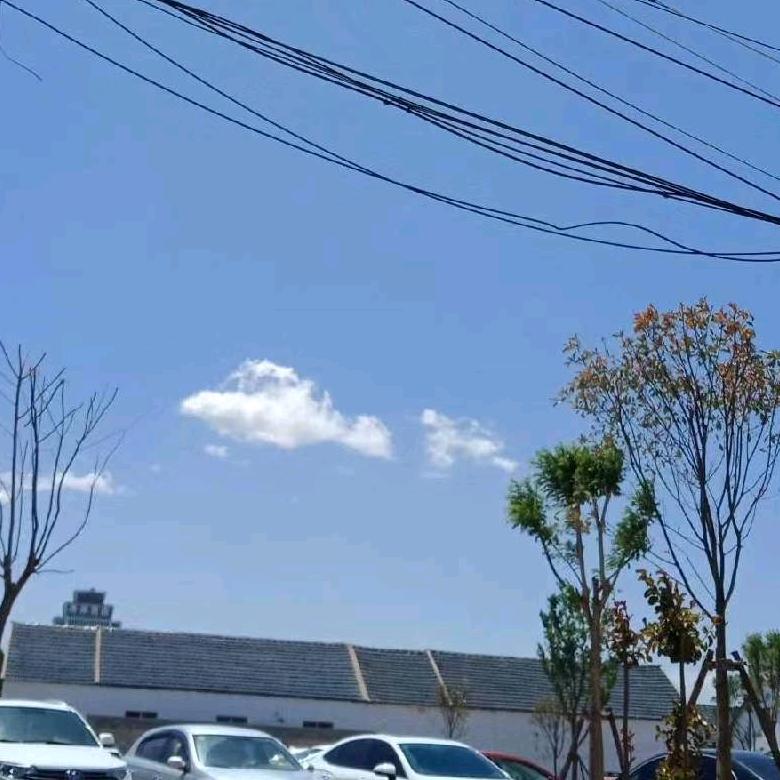 誰的等待恰逢花開