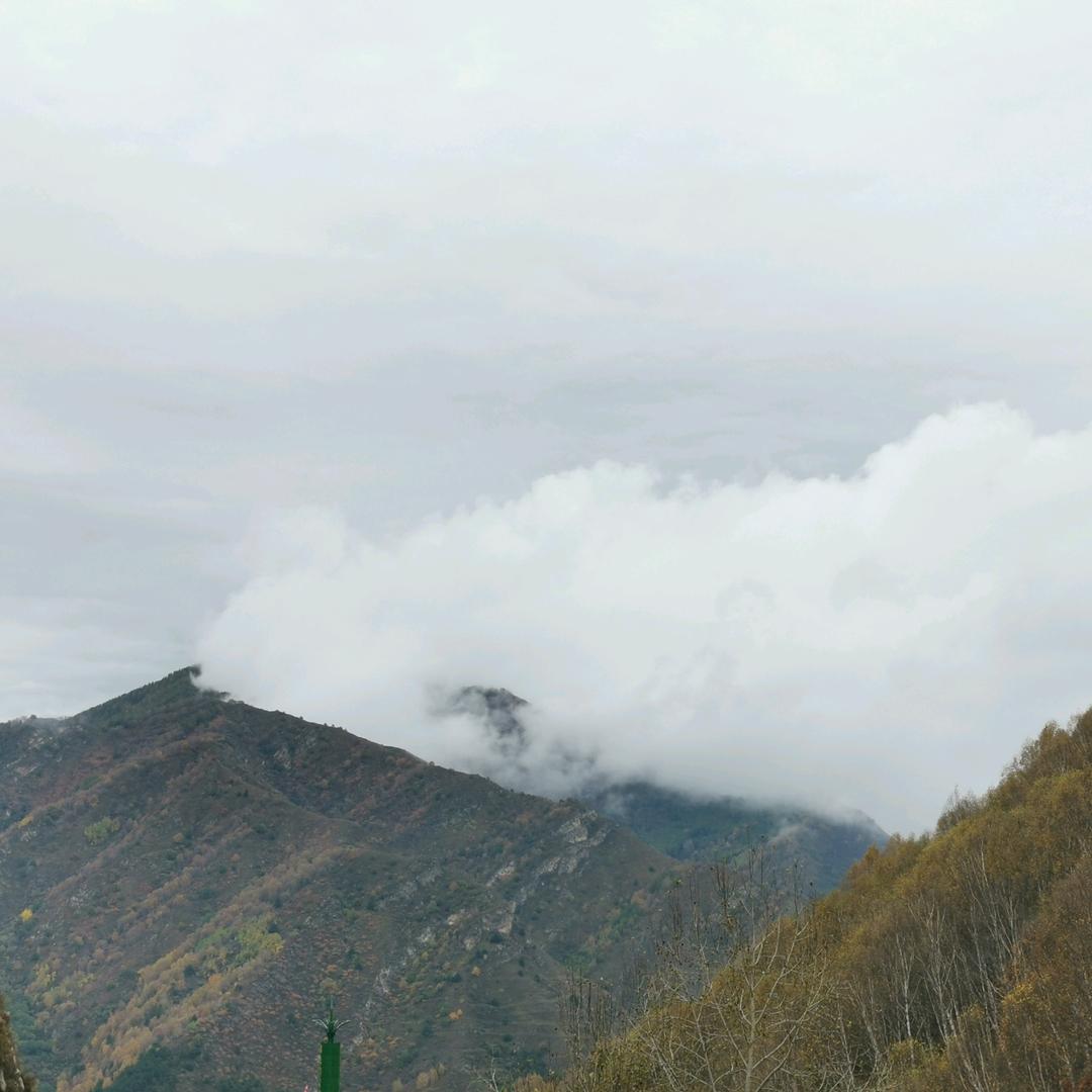 青春在飞扬