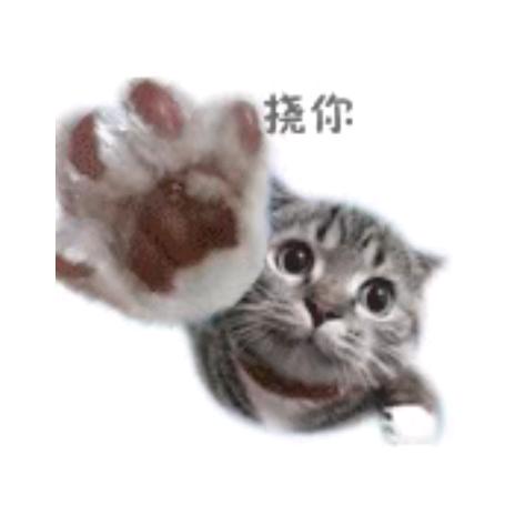 人生短短急个球