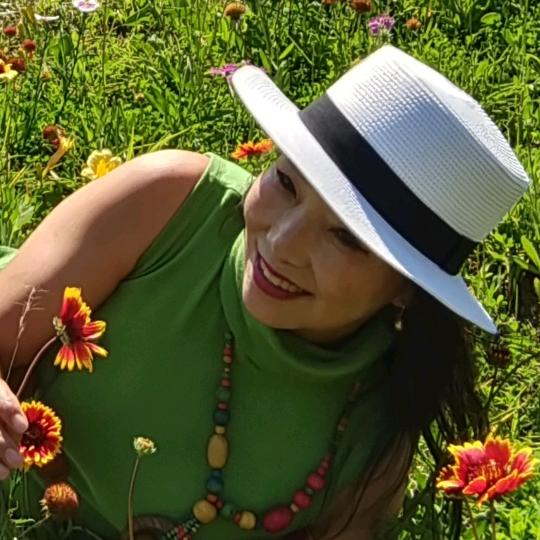 雾里看花（拒连赞、闲聊）