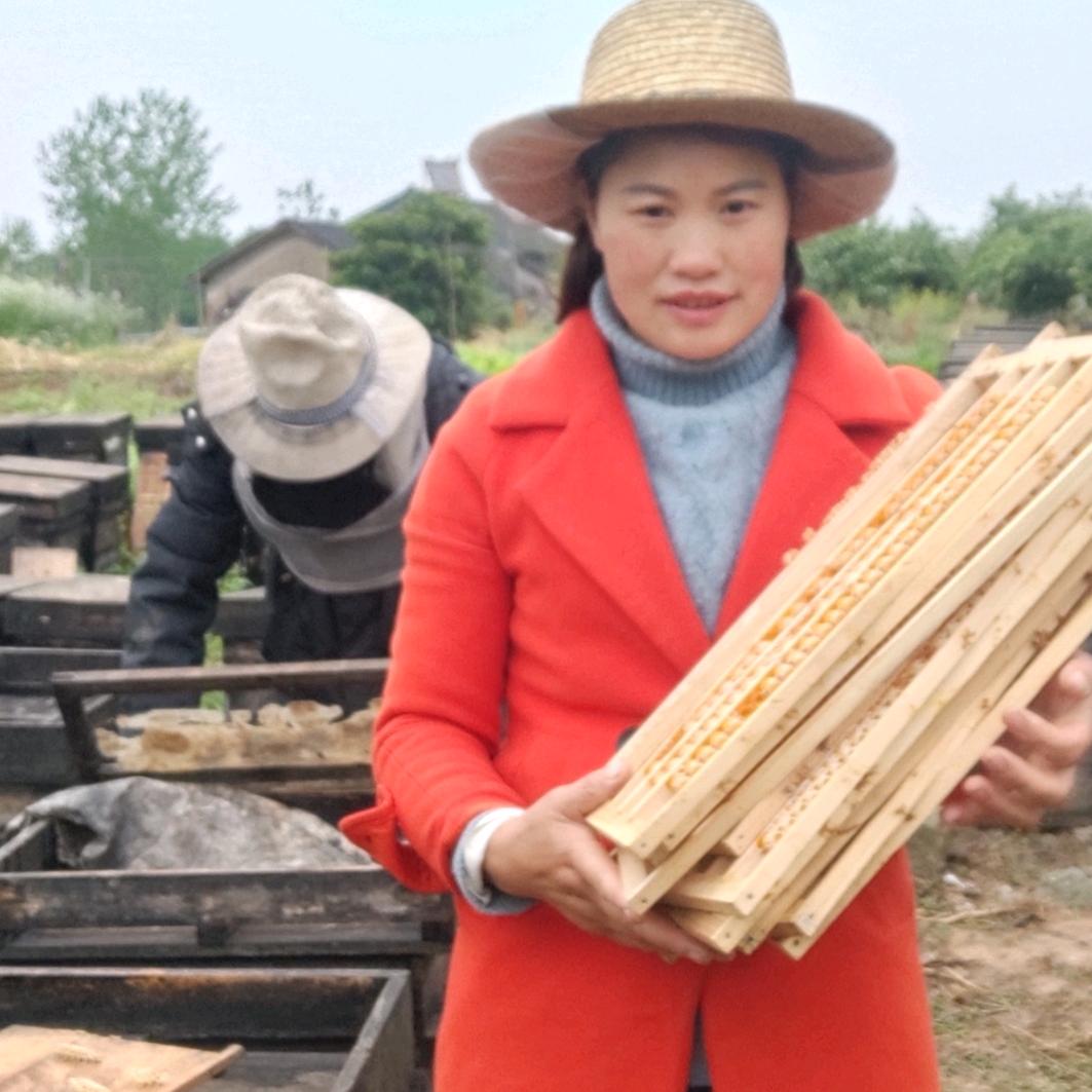 养蜂妹英子