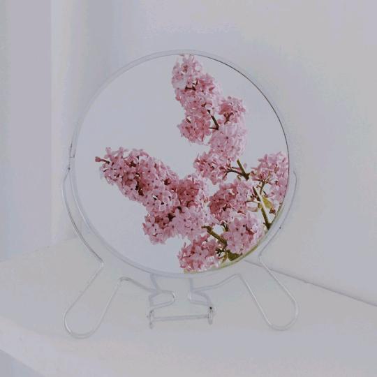 邵老师