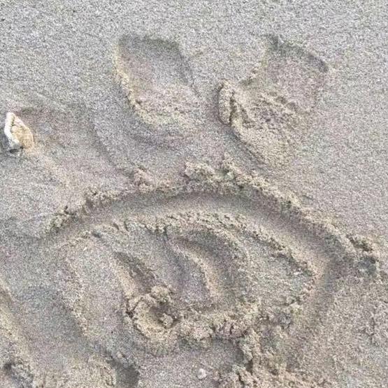 不是我不小心