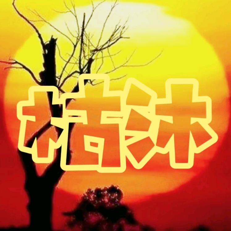 枯沐电影