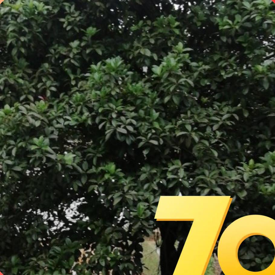 用户712674李栋梁