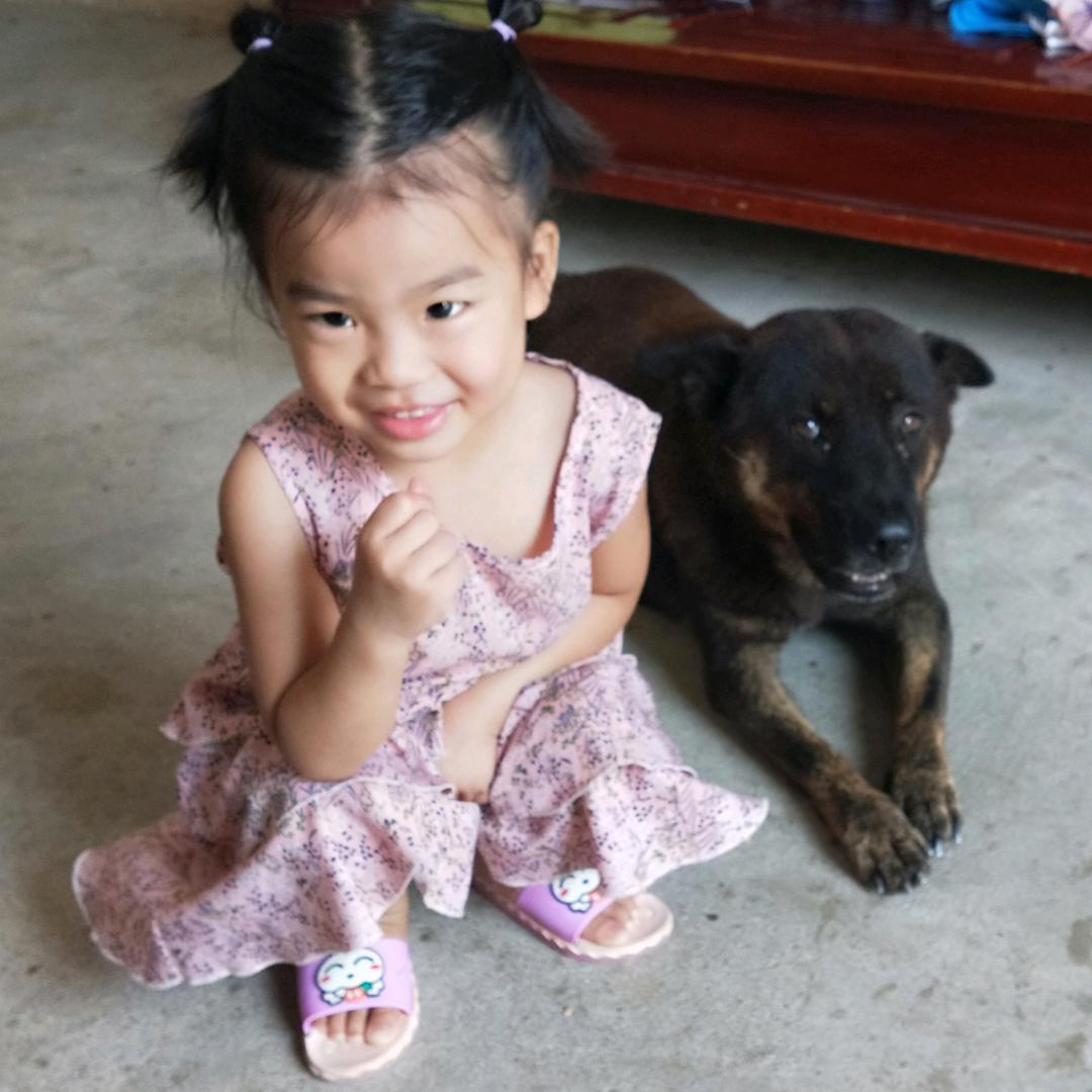 日月合其明、四时合其序