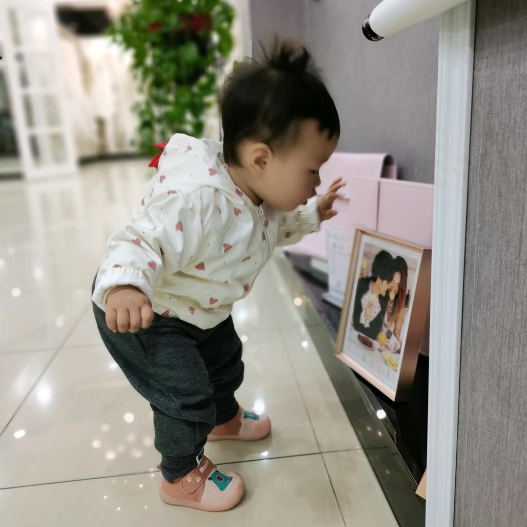 胖嘟嘟的小肉丸