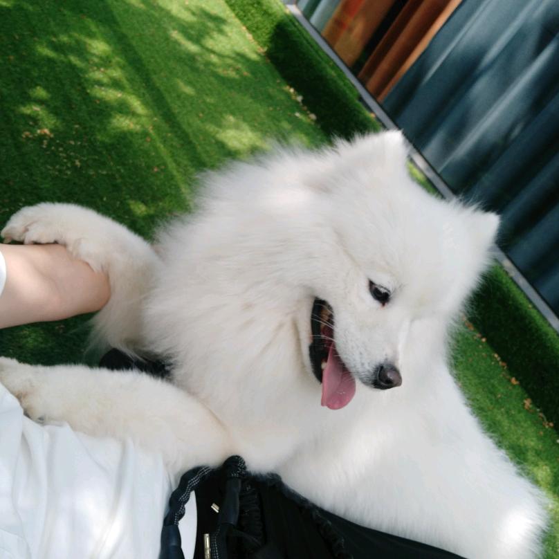 裤兜里有個棒棒糖