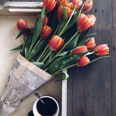 读万卷书行万里路