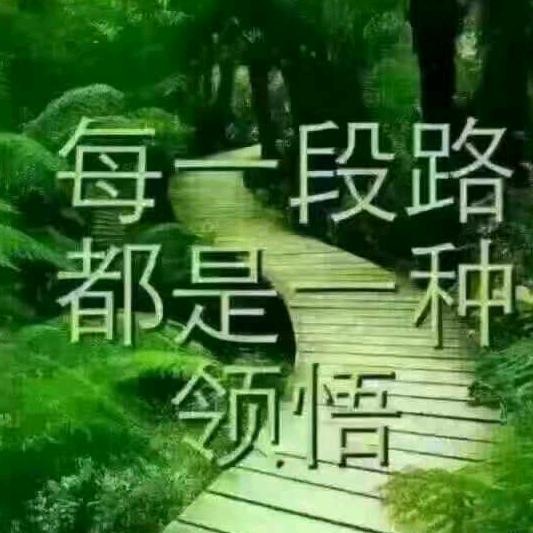 温暖向阳🌻