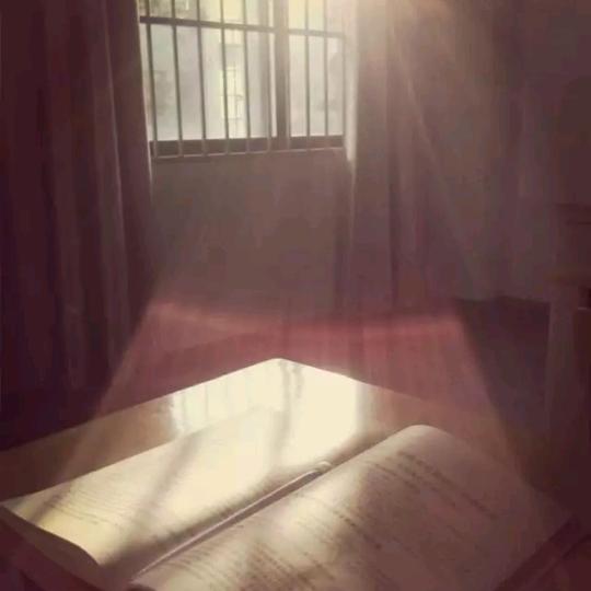 小马哥