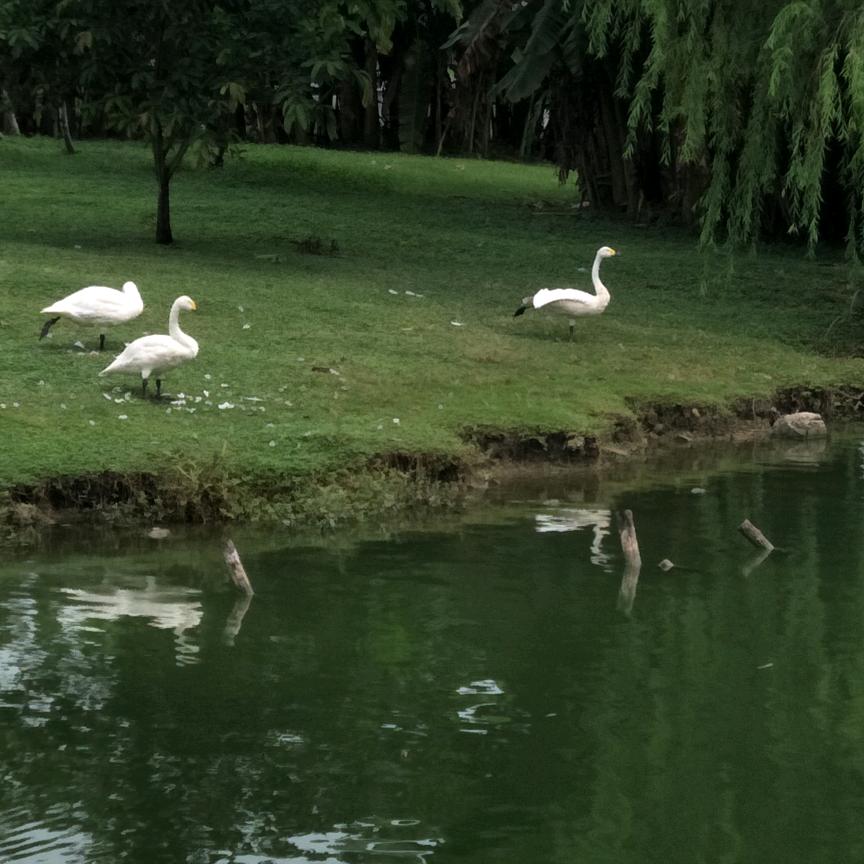 ℳঞ🍒时光清浅꧔࿐ᩚ