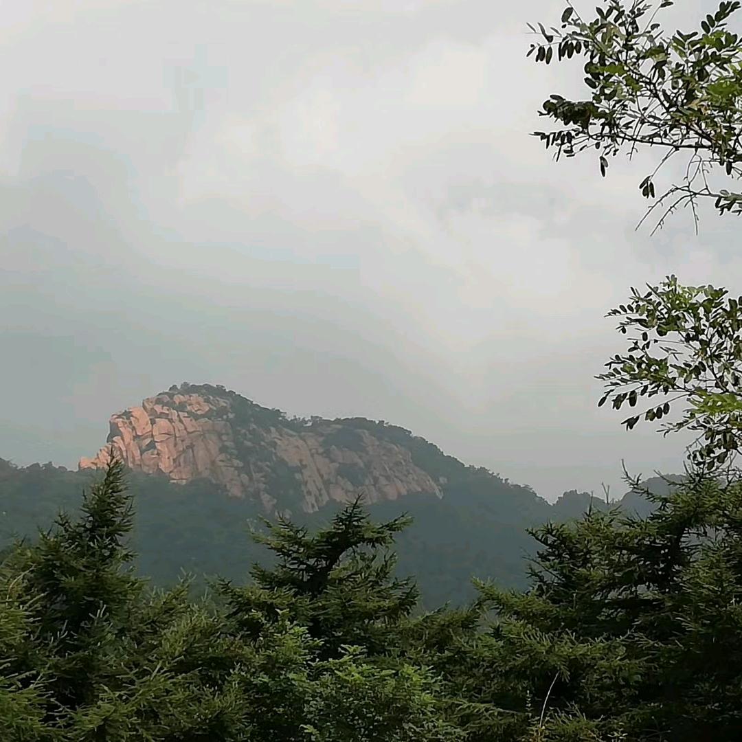 把酒作清欢