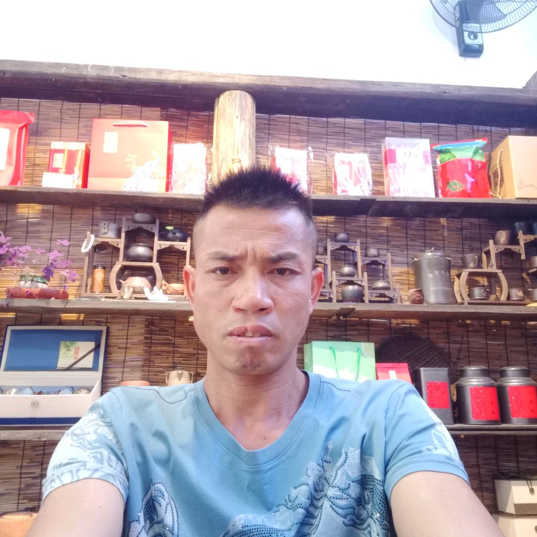 龚喜品茶静心