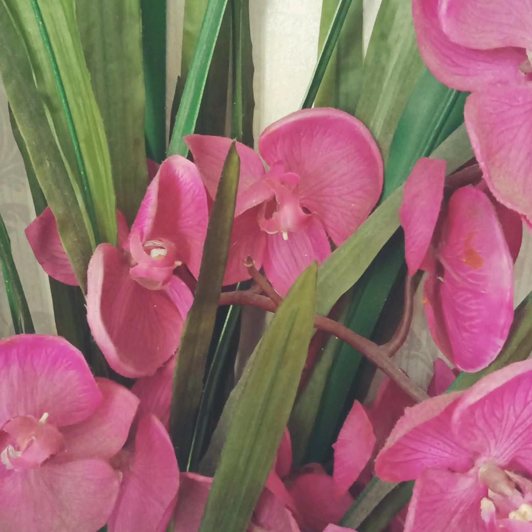 用户5511000174356雨后彩虹。