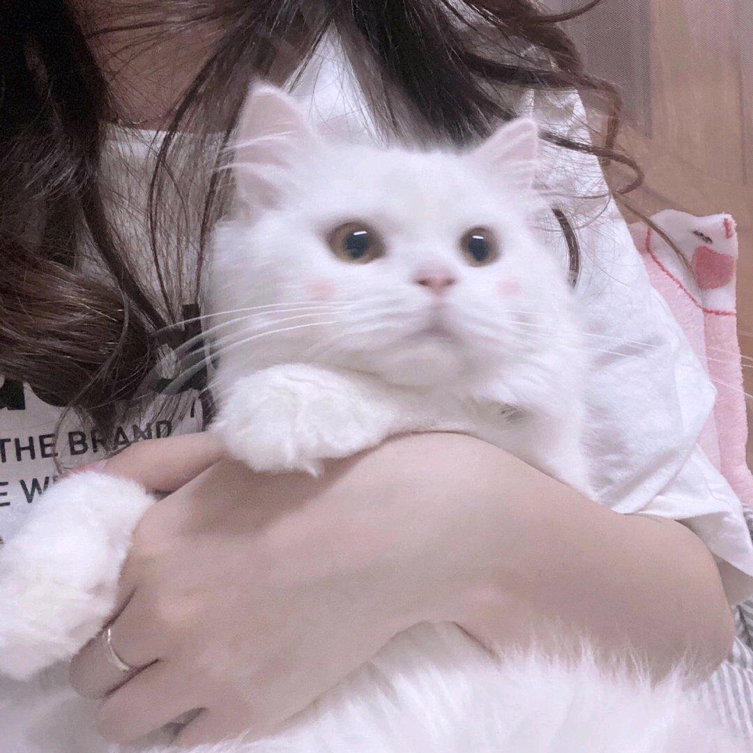 孙莹莹