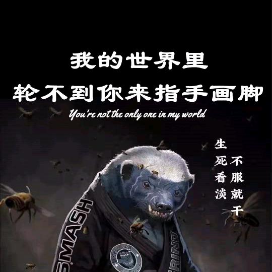 卖炒饭的鱼皮哥（不存在）
