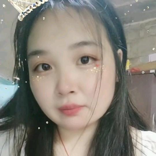 爱养猫猫的燕子