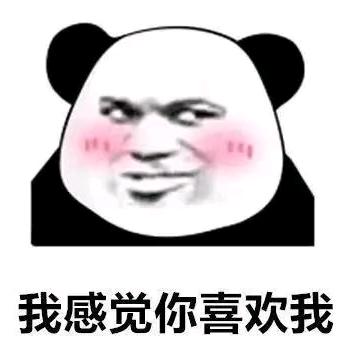 紫丿枫子
