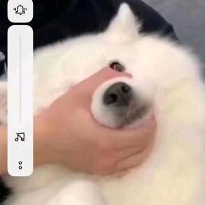 南辰。