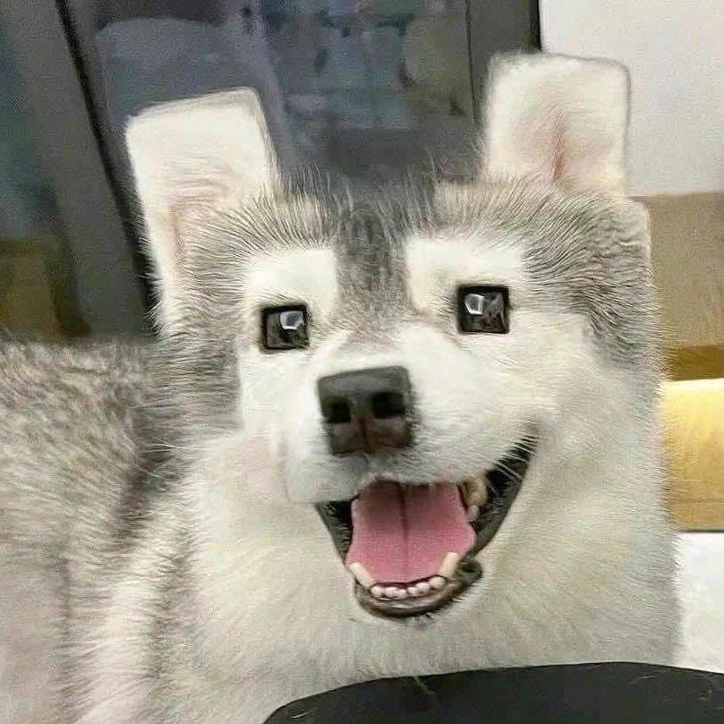 郑方形