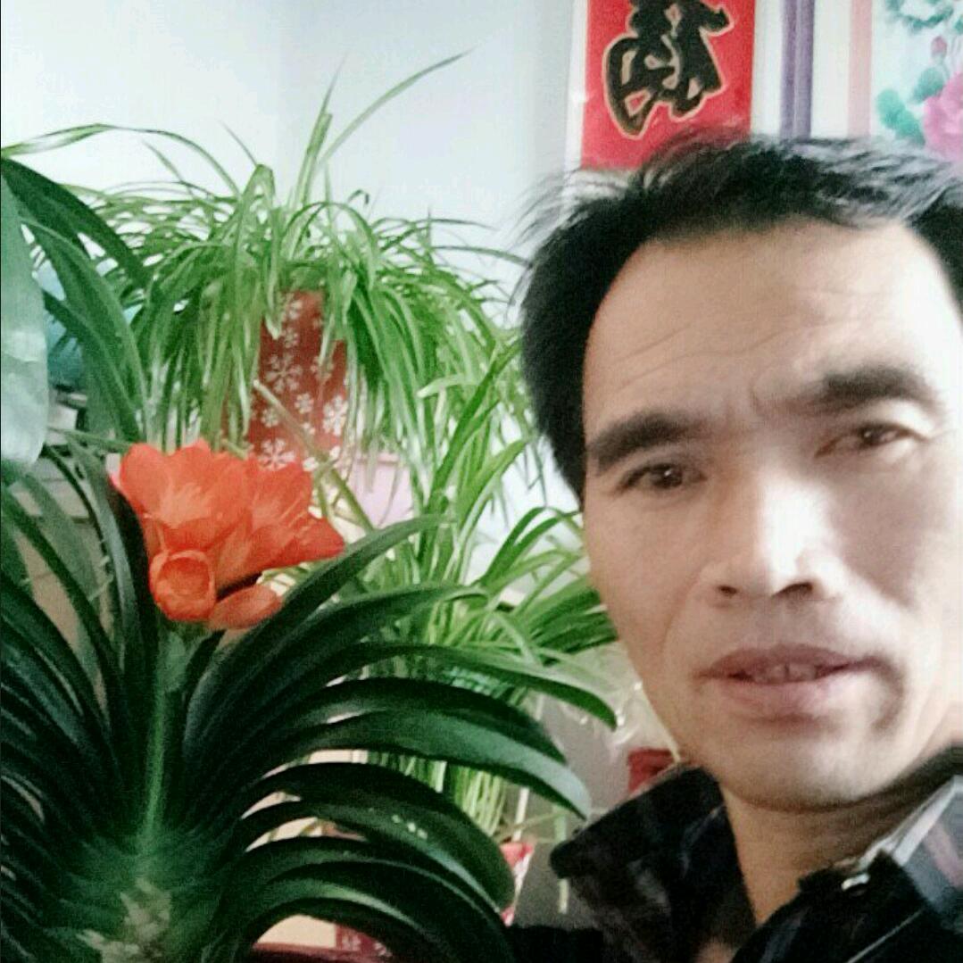 初心a