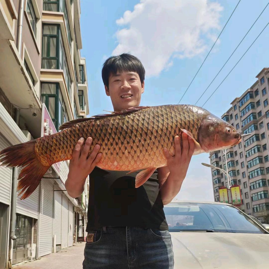 虎林出租车😀天道酬勤