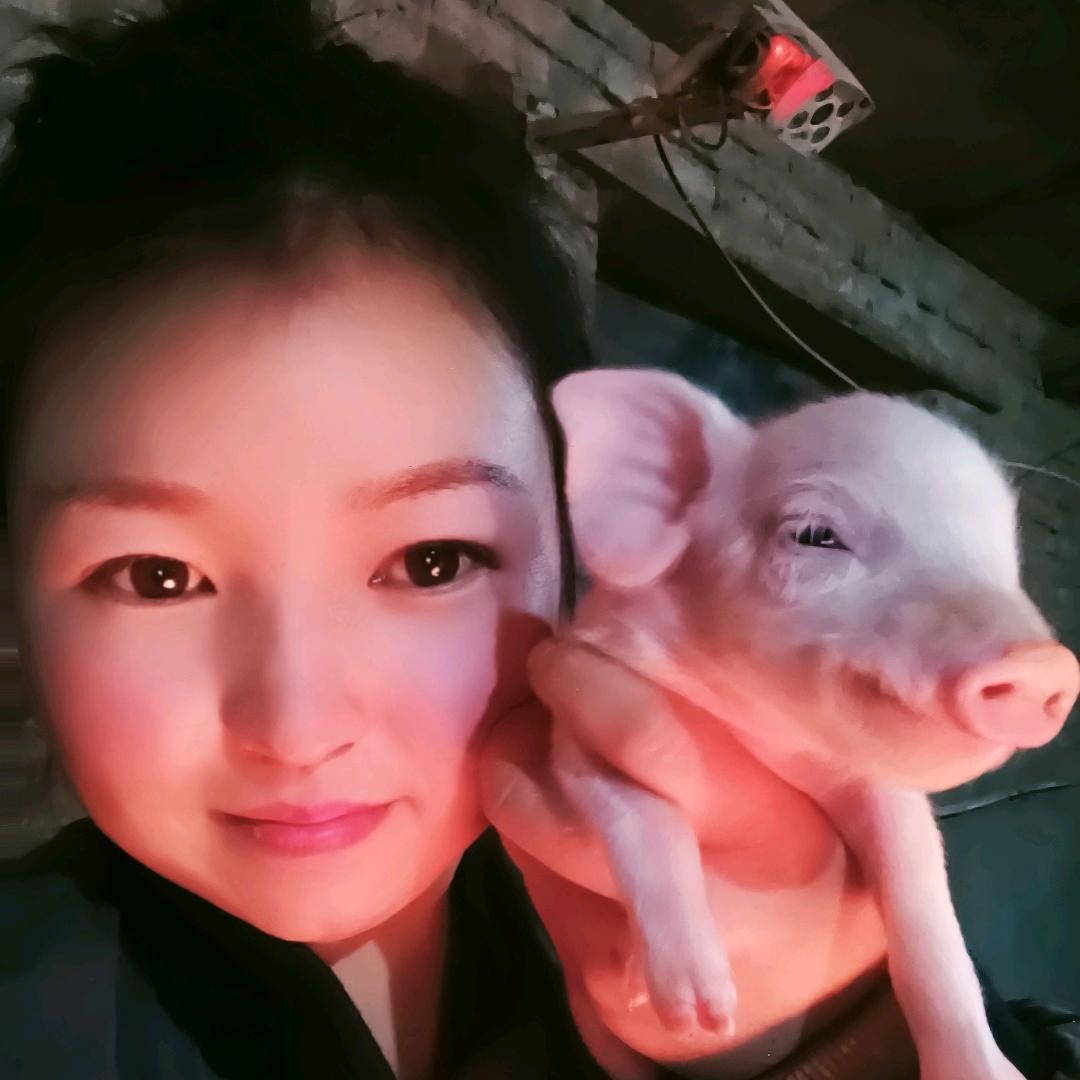 陈功人士