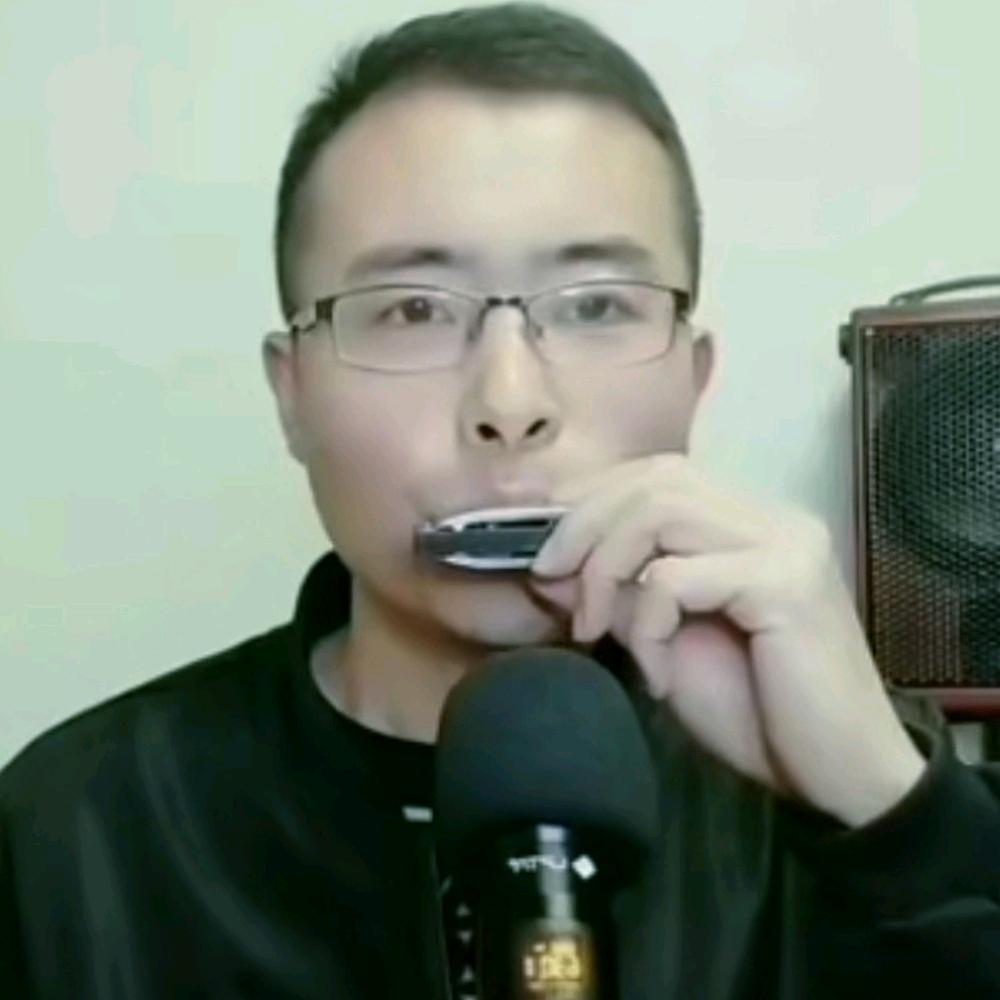 琴韵口琴