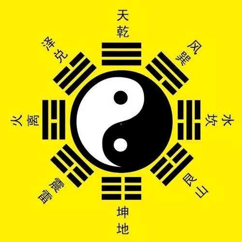 张道友
