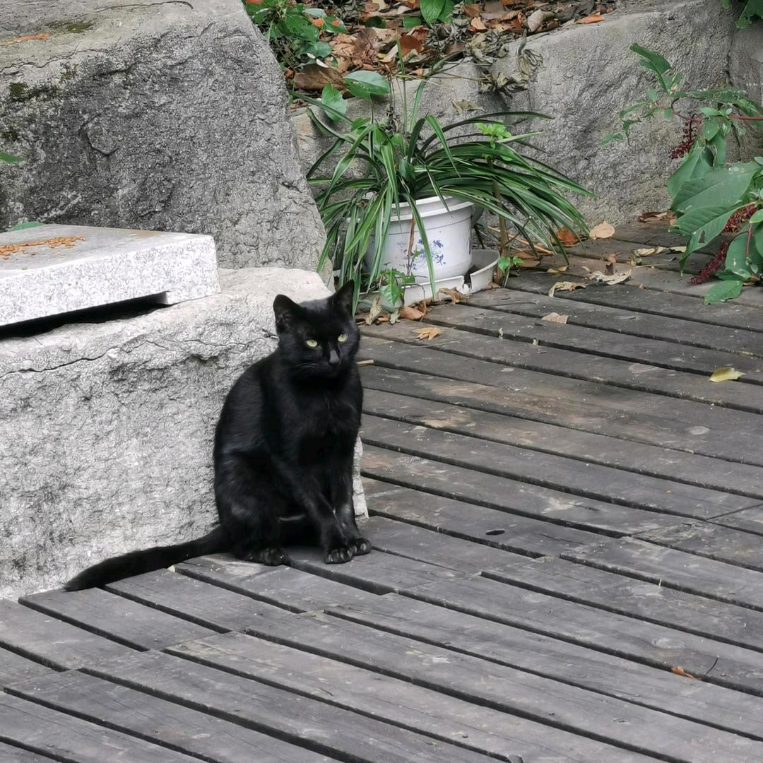 十八泥犁经