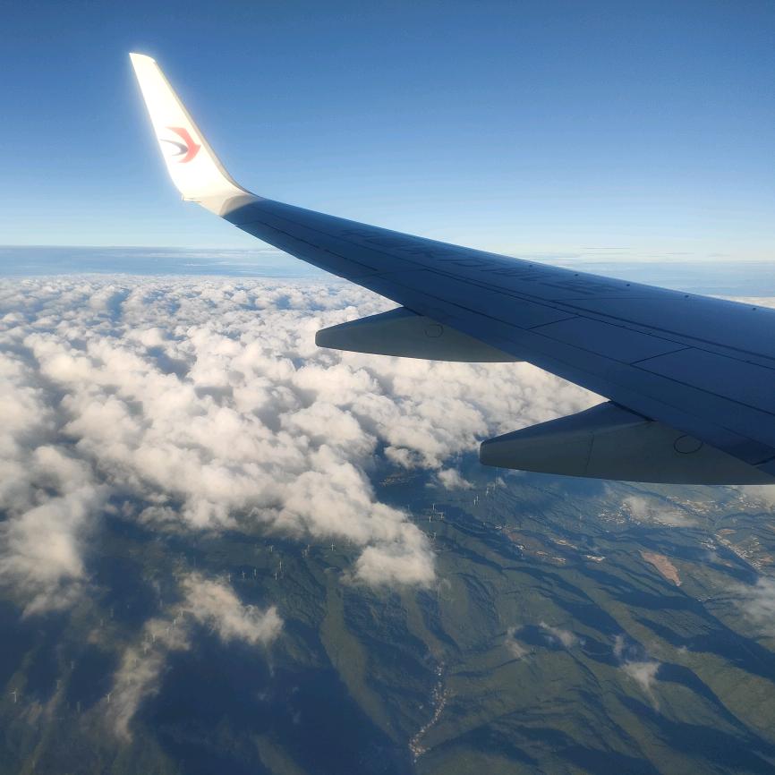 采姑娘的小蘑菇