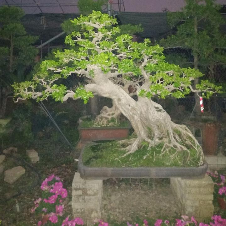 劳动价值一廉江市河唇镇，黄亦武。