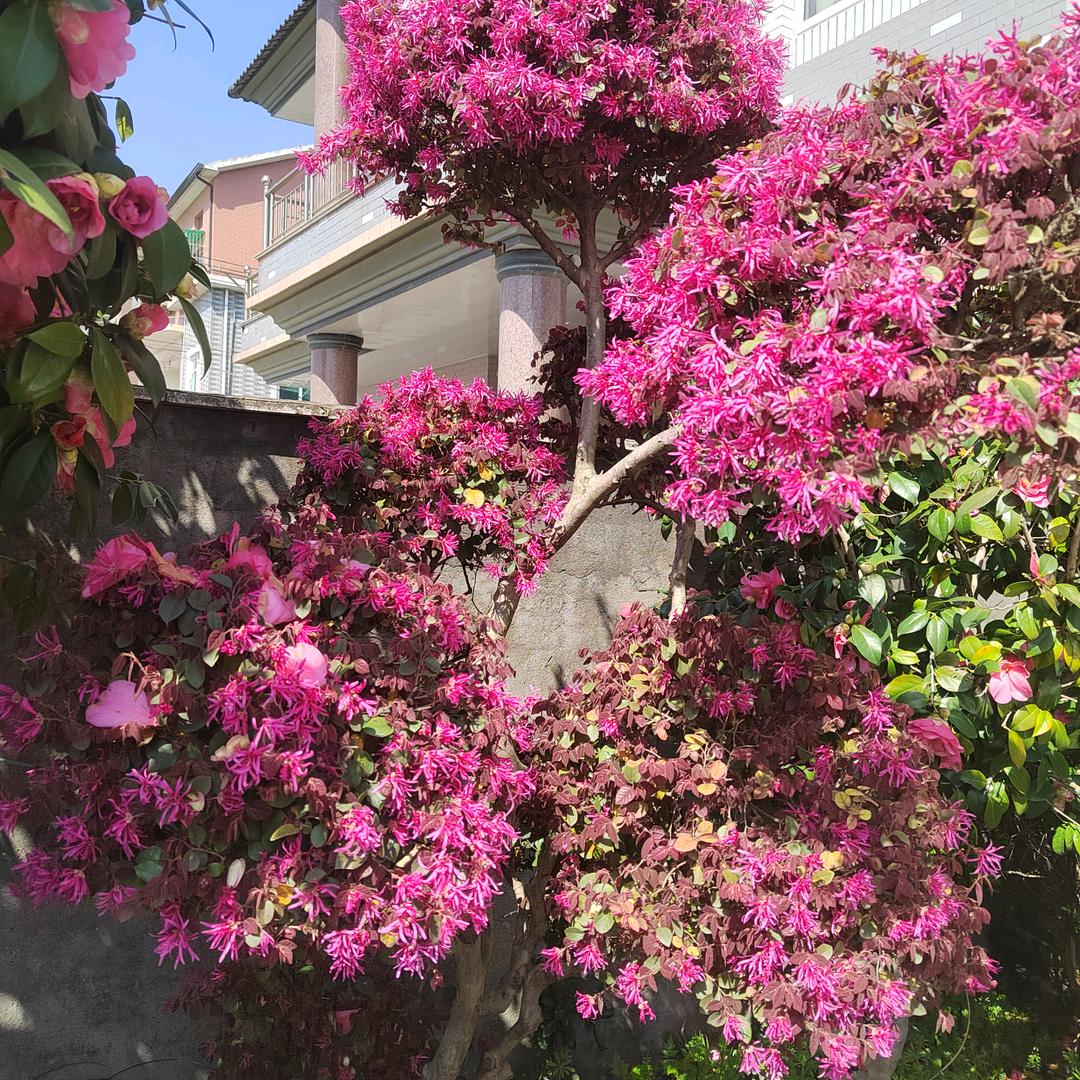 潘龙卧虎