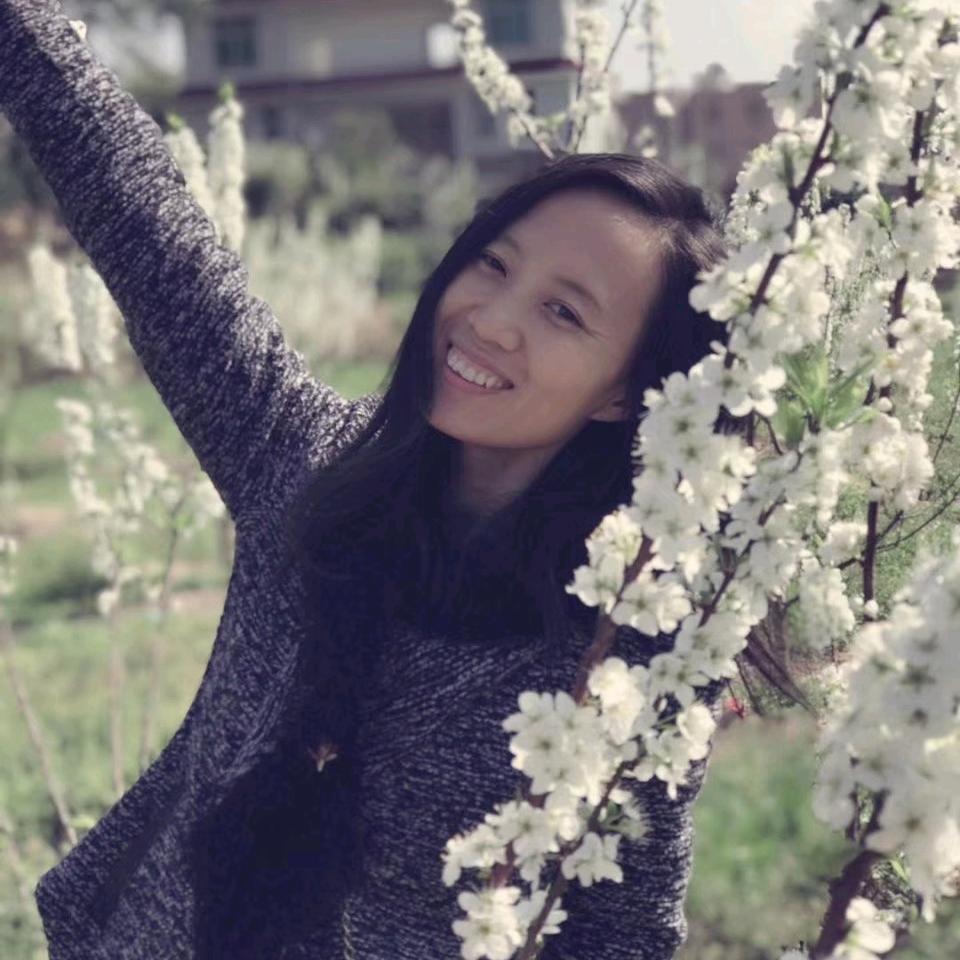 果果手绘石头画