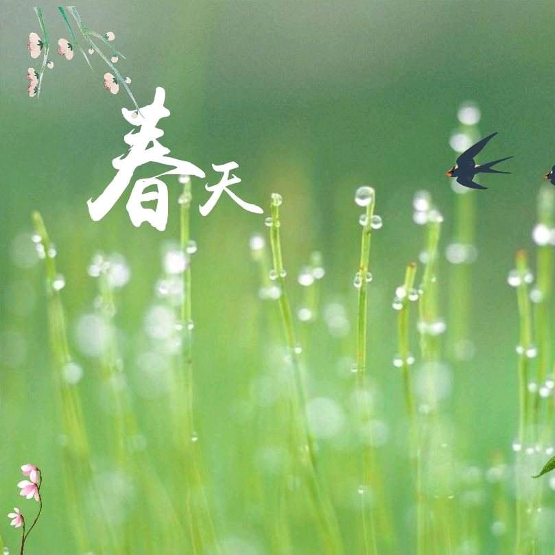 揽明日