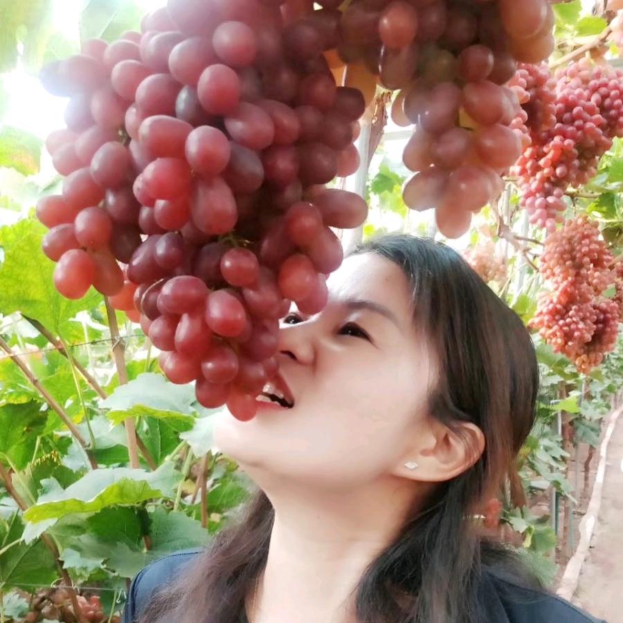 旧时模样