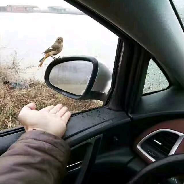 乐钓翁(礼尚往来)