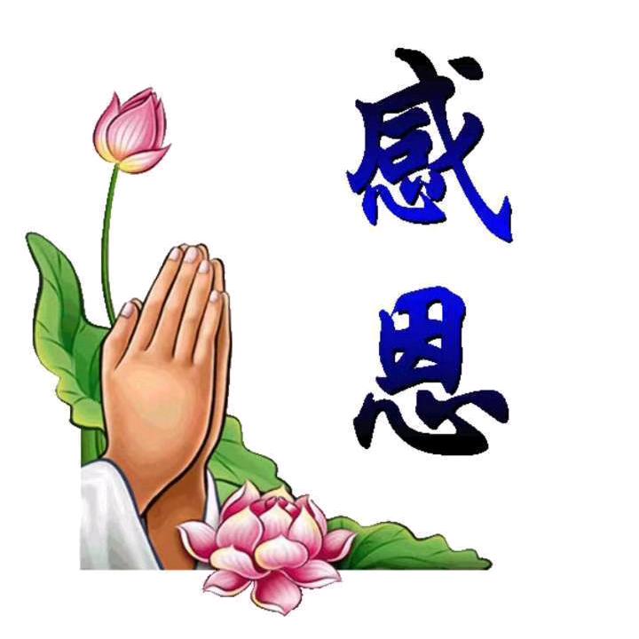 🐇💞大宝🇨🇳感恩的❤️💞