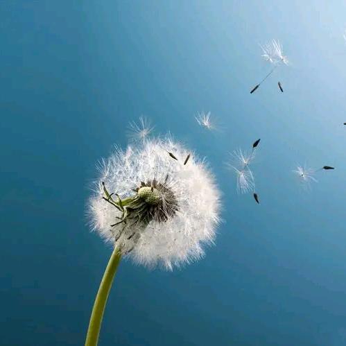 用户7777777（真·封票版）