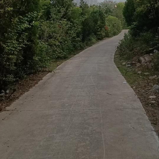 烈酒煮梅