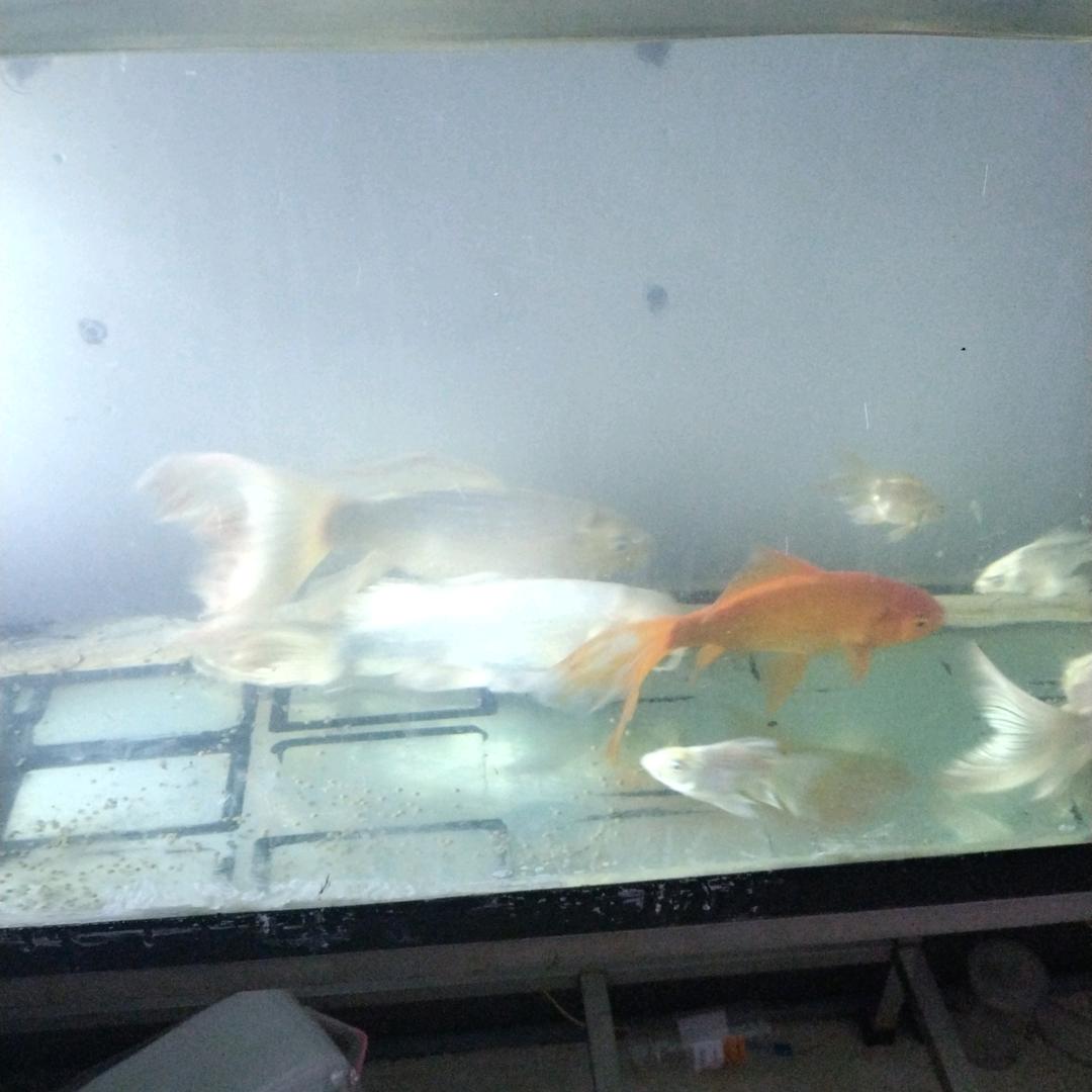 伤心城市