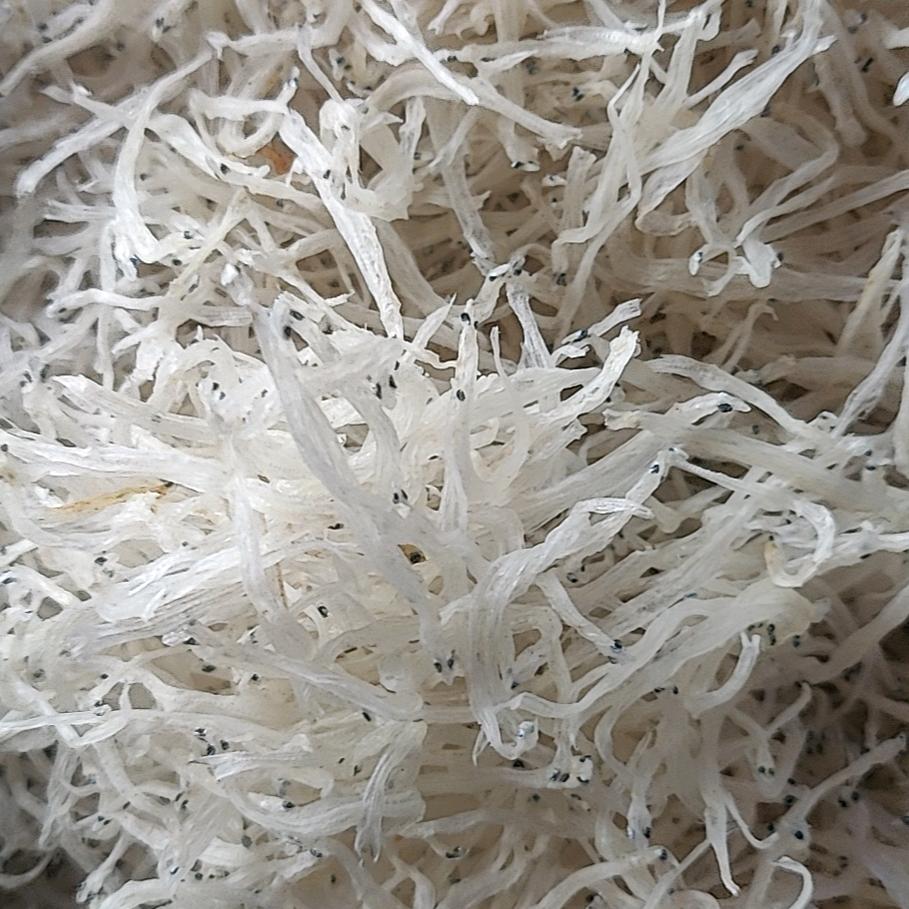 南昌市西湖区灌婴路小付食品批发部